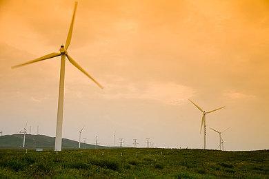 《双点校园》奶酪球运动介绍 8月10日发售